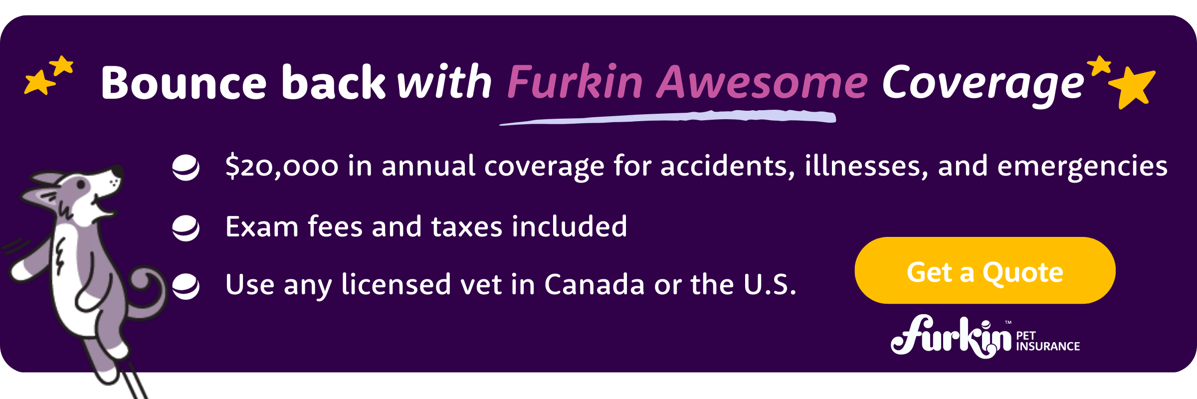 Bounce back with Furkin Awesome Coverage $20k annual coverage accidents, illnesses, emergencies; exam fees and taxes covered; licensed vets in CAN/US