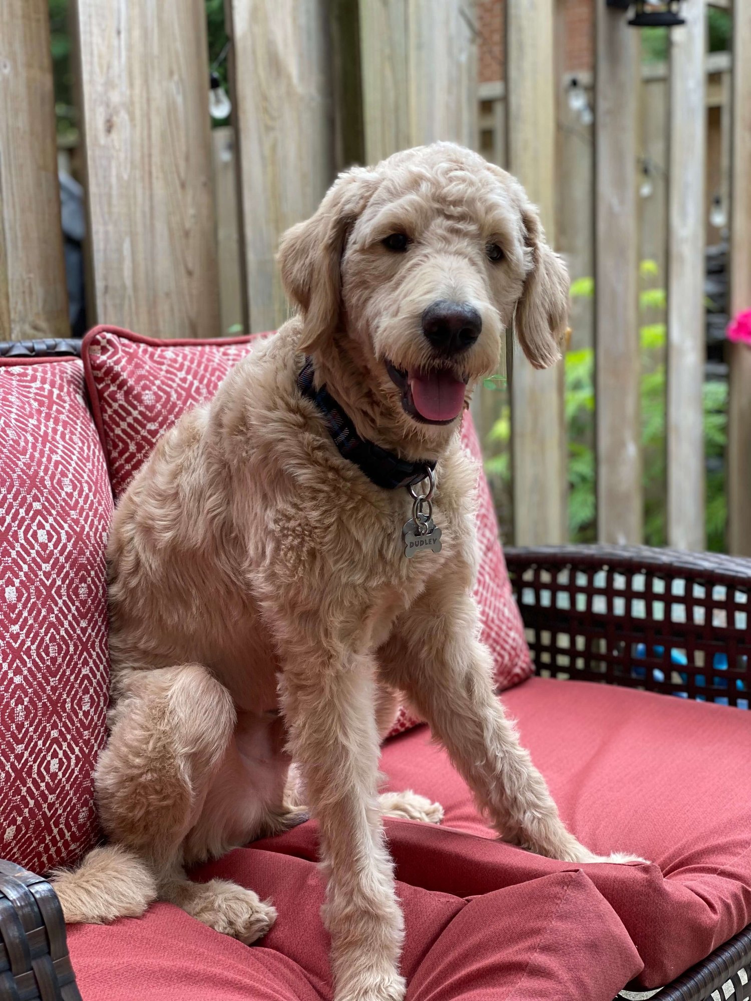 Furkin Member Dudley