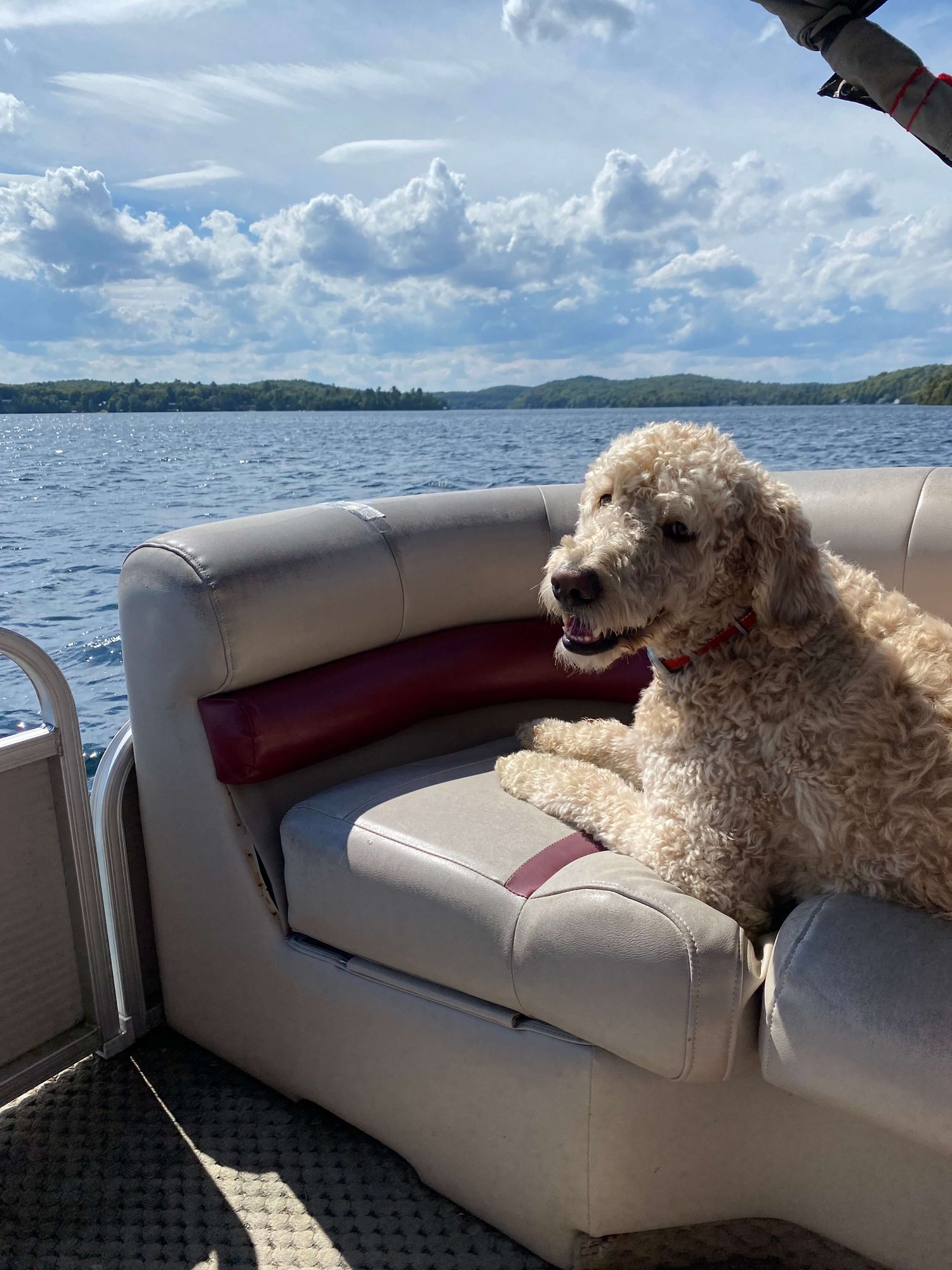 Furkin Member Dudley