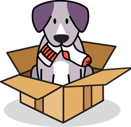 dog in box with sock
