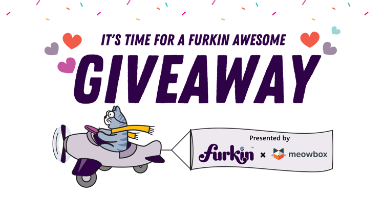 Cat flying a plane with banner: presented by Furkin x meowbox. It's time for a Furkin awesome giveaway.