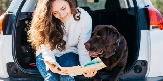 Woman and Dog sitting in Car Trunk Reading Map