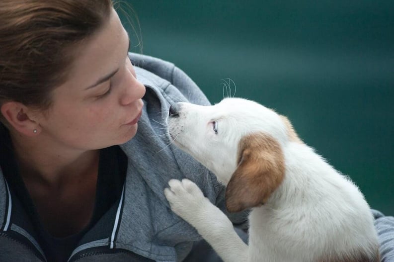 Woman wearing gray jacket beside white puppy