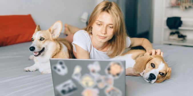 woman with two dogs laying on carpet on computer