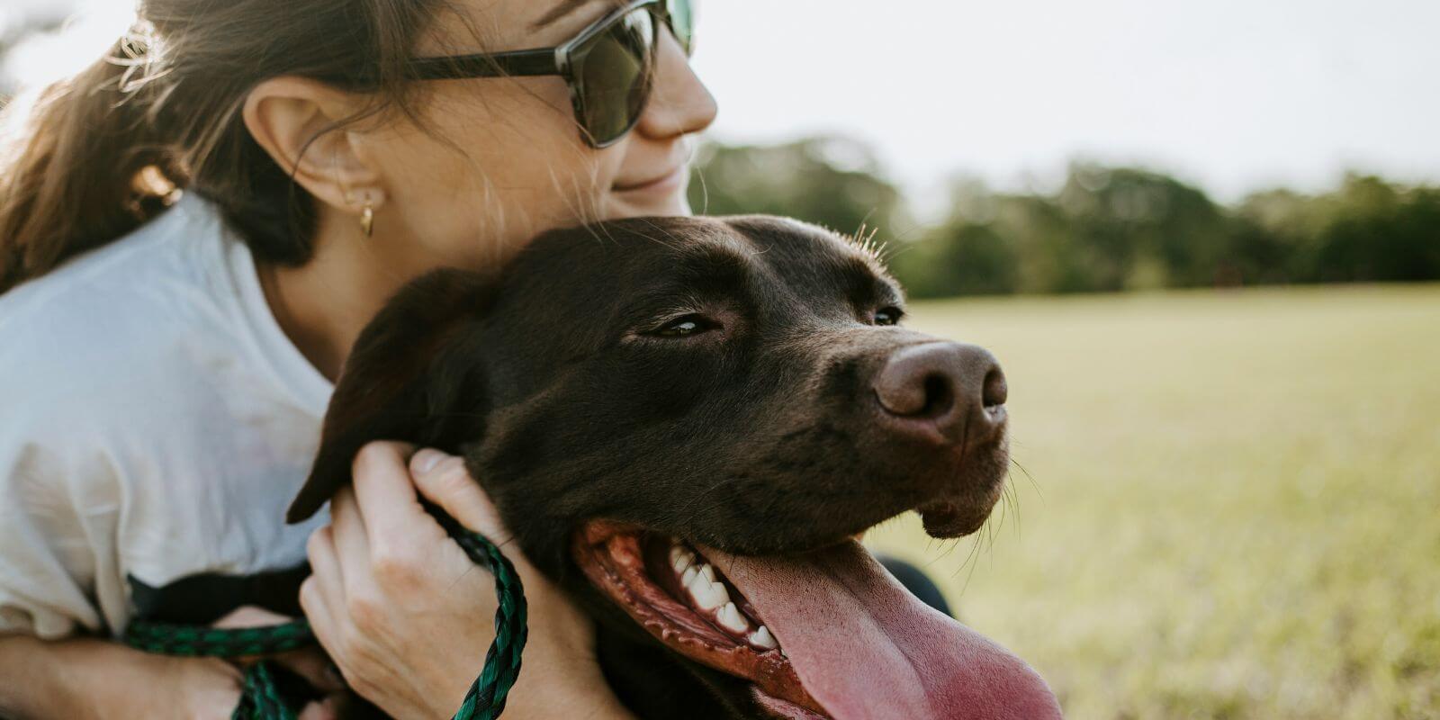 Brown-haired woman in sunglasses embracing her happy chocolate lab