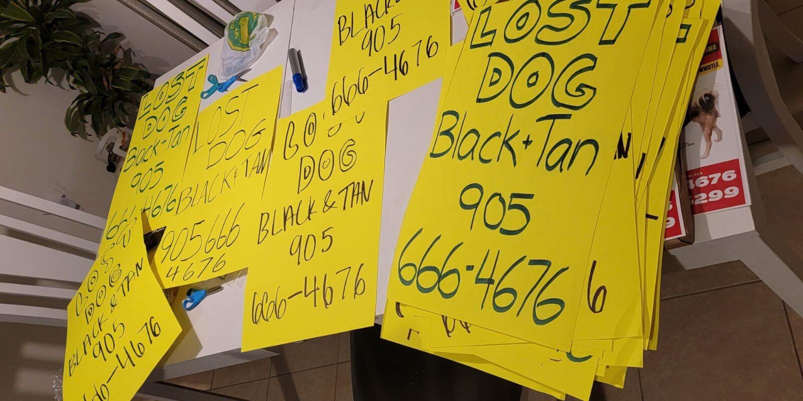 Yellow posters the Master's Family created with their Furkin lost and advertising perks to help find Eddie