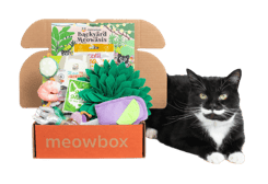 Meowbox box with black and white cat laying next to it