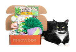 Meowbox box with black and white cat laying next to it Meowbox box with black and white cat laying next to it