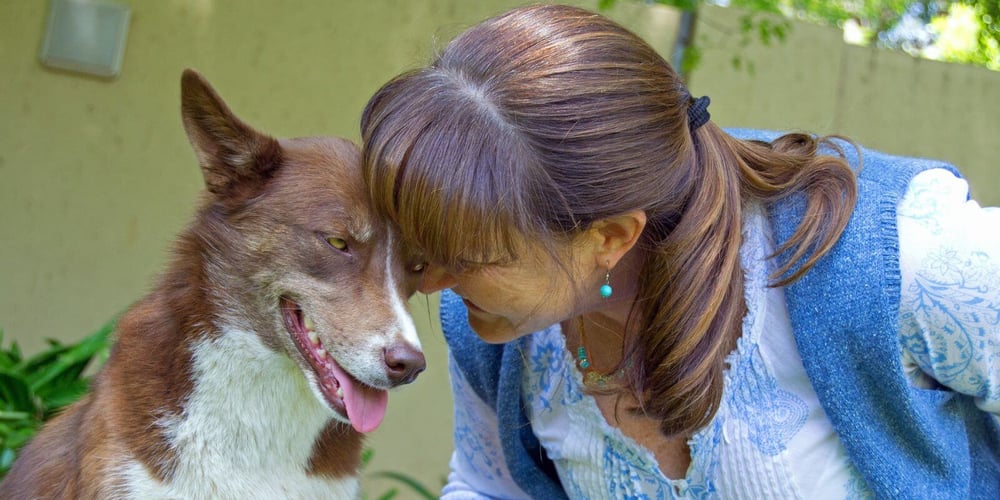 Woman with brown hair leaning against her brown and white dog