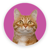 fukrin__cat-circle resized
