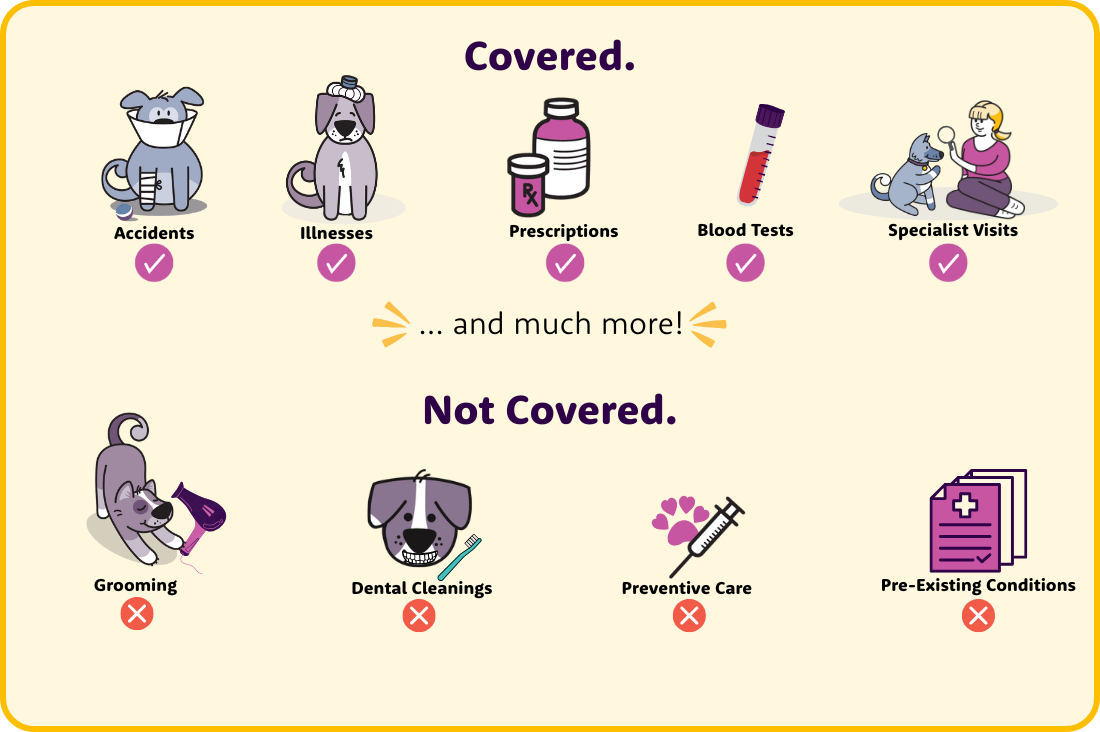 Covered vs. Not Covered