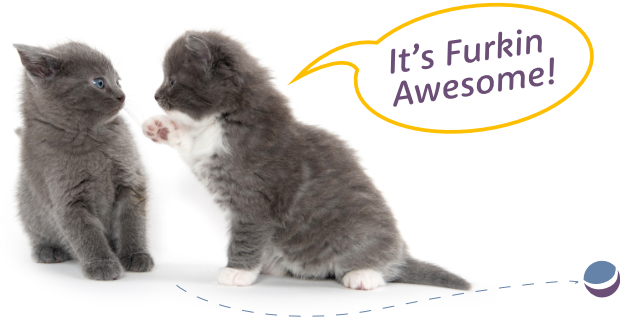 A kitten saying 'It's Furkin Awesome'