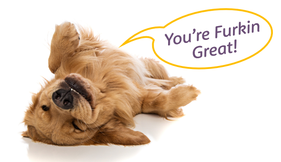 Happy dog - You're Furkin Great! Happy dog - You're Furkin Great!