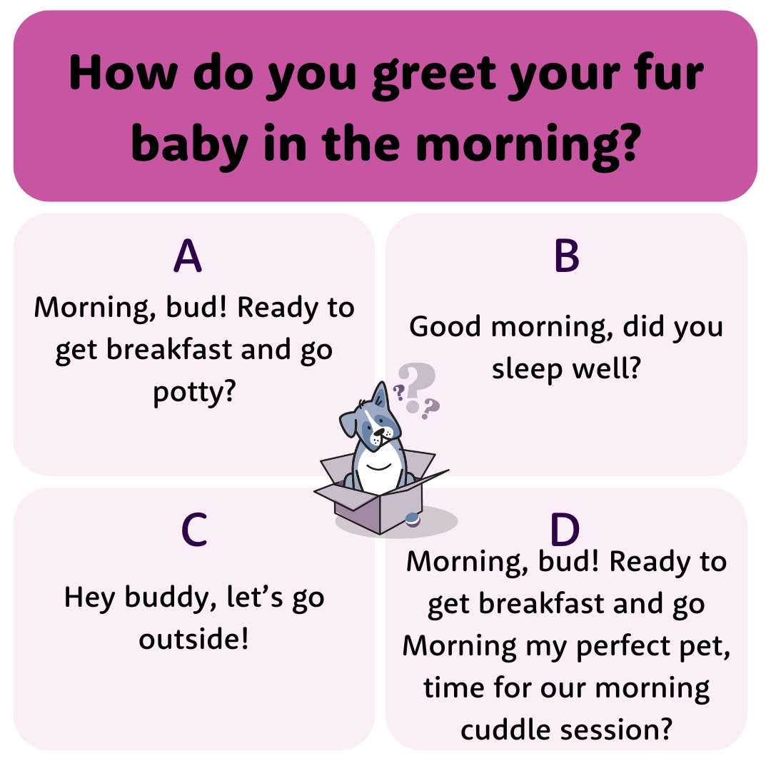 How do you greet your fur baby in the morning