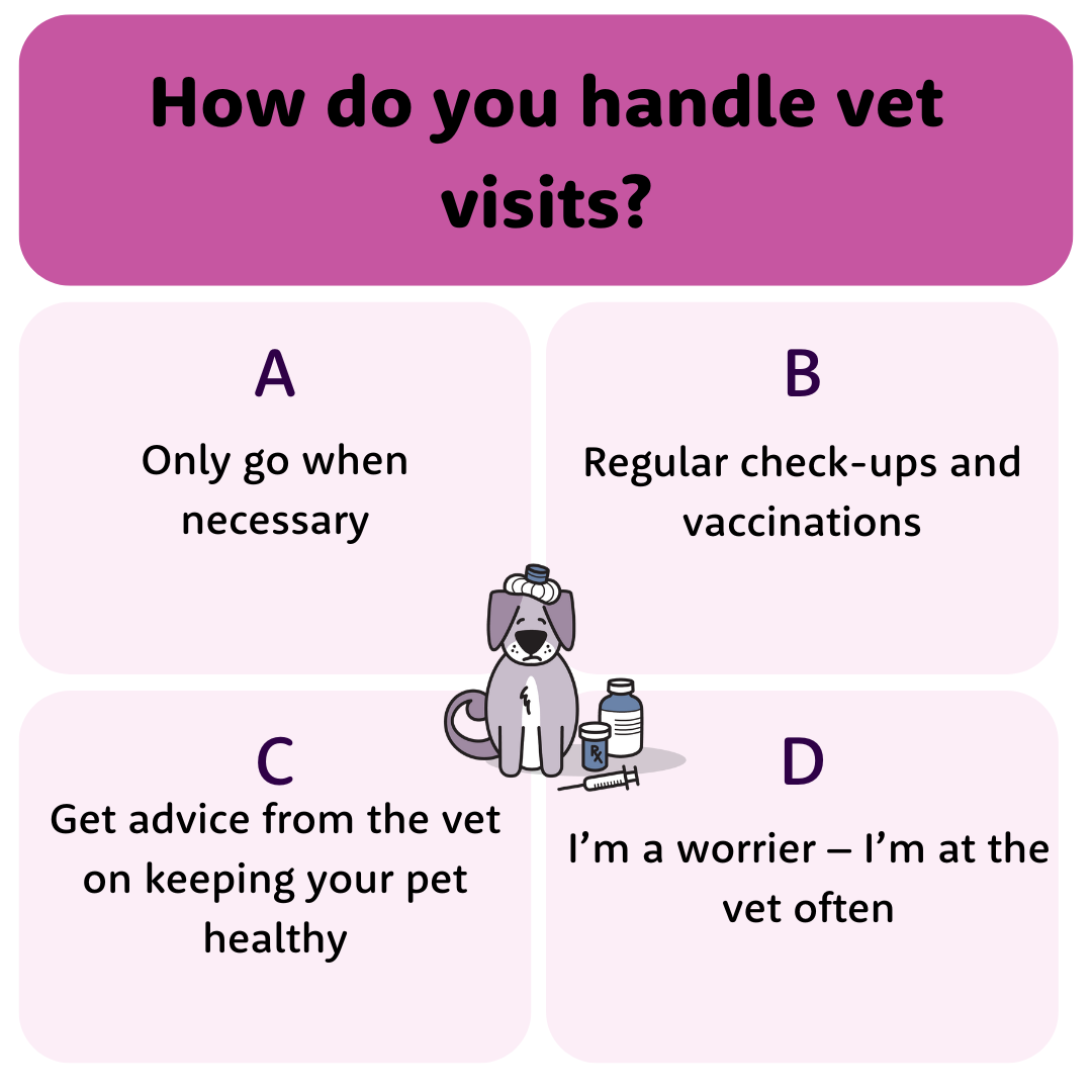 How do you handle vet visits