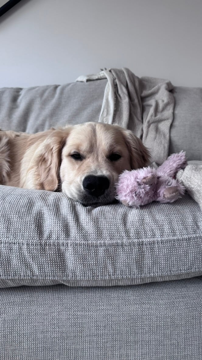 Sully