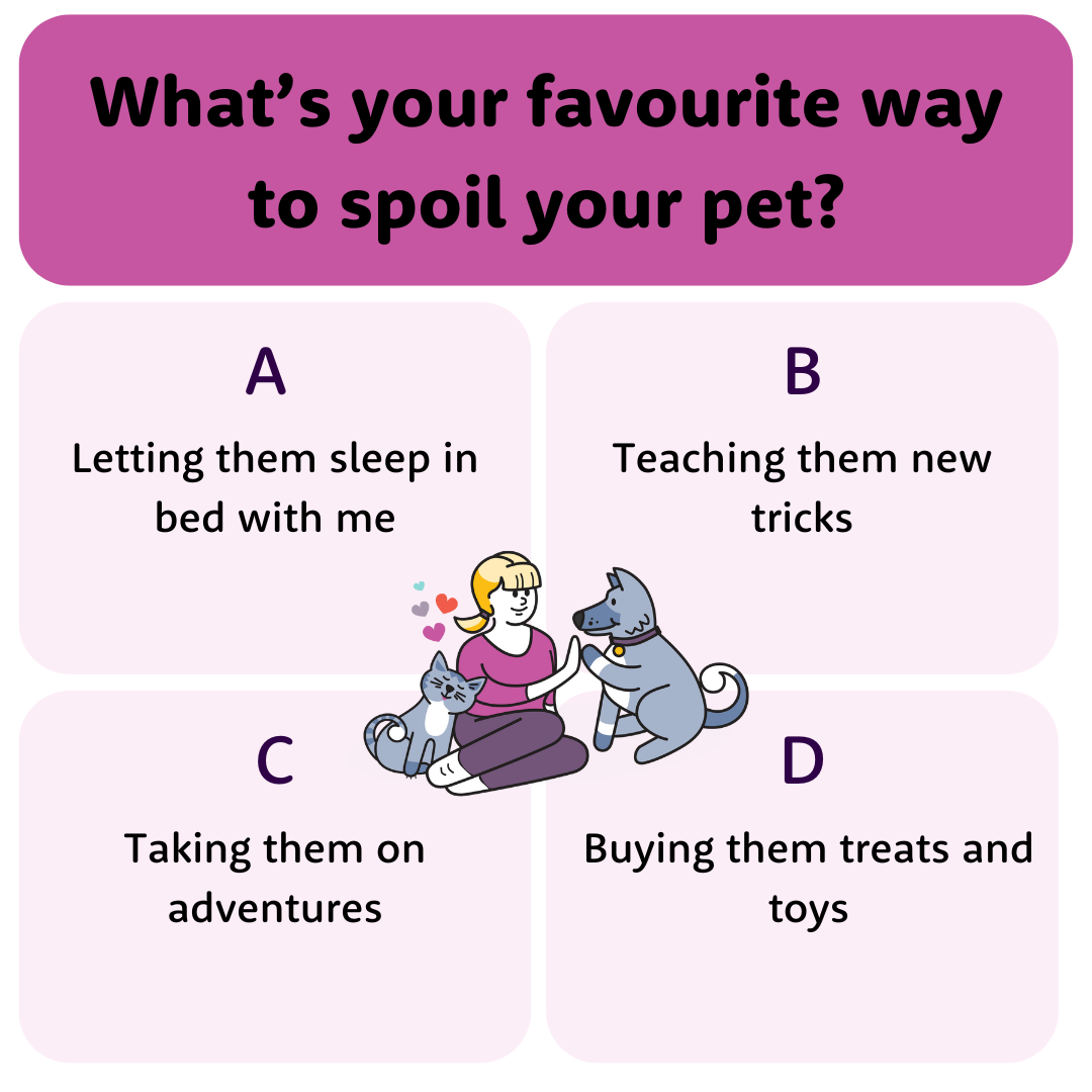 What’s your favourite way to spoil your pet