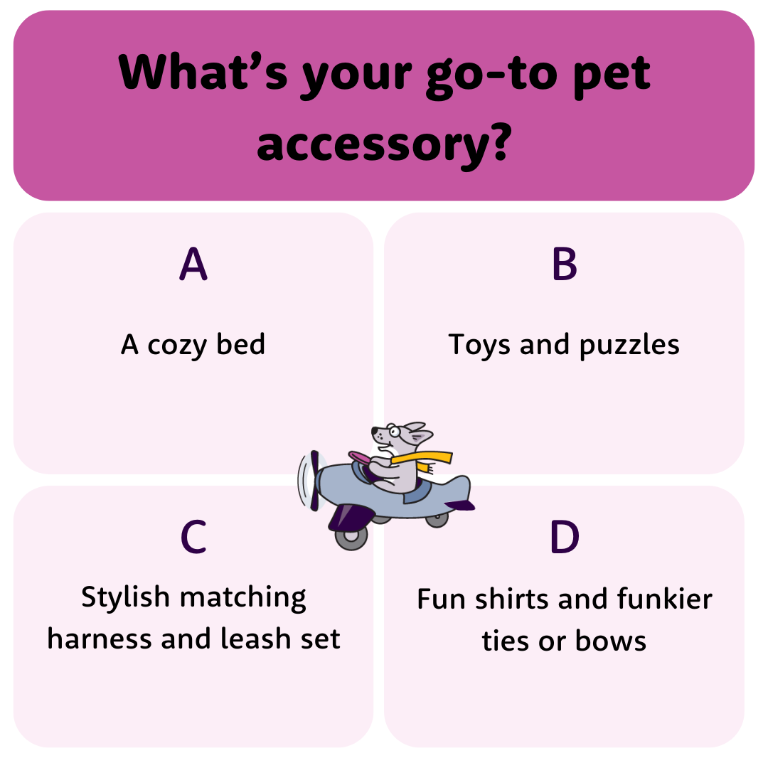 What’s your go-to pet accessory
