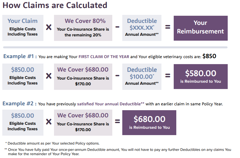 Furkin deductible claim breakdown