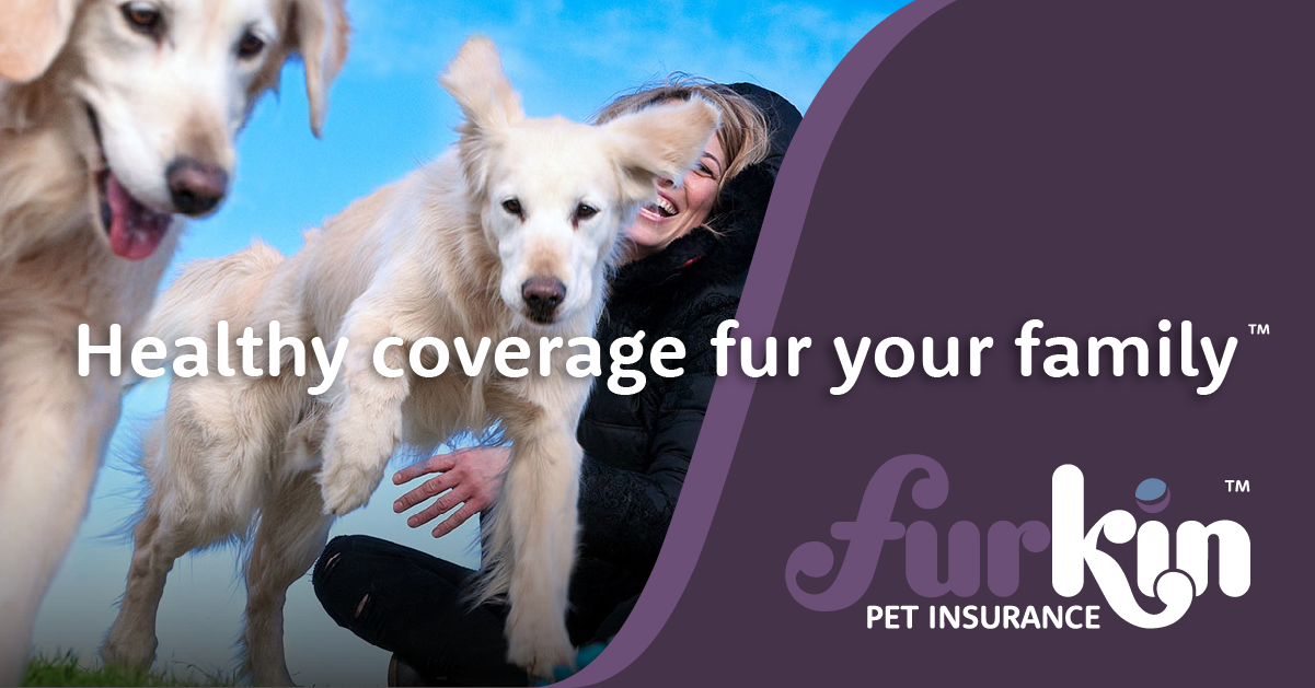 Dog & Cat Insurance in Canada | Furkin Pet Insurance