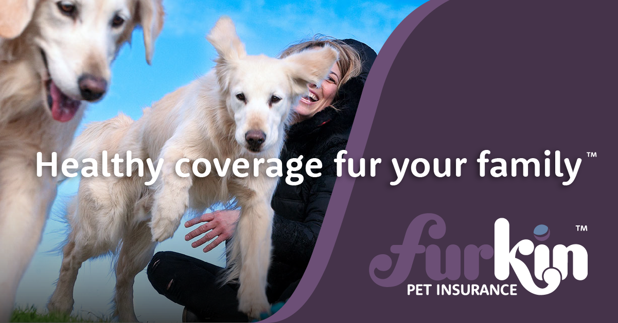 Dog & Cat Insurance in Canada | Furkin Pet Insurance Dog & Cat Insurance in Canada | Furkin Pet Insurance
